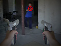Jeu First Person Shooter In Real Life 3