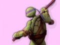 Game Ninja Turtles Colours Memory