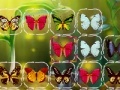 Game Butterfly Connect