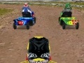 Game Lawnmower Racing 3D