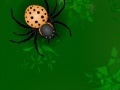 Game Spiders attack 