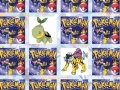 Jeu Find your cards with your favorite Pokemon