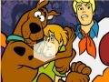 Jeu Scooby-Doo The Picutr
