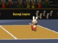 Game BunnyLimpics Volleyball
