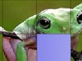 Jeu Frog Slide Puzzle