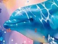 Jeu Magic dolphins hidden numbers