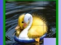 Game Cute Chicks Slide Puzzle