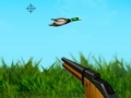 Game The duck hunter