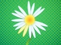 Game Daisy petals