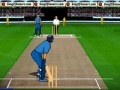 Game Cricket Championship