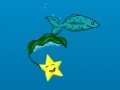 Jeu Star Fish
