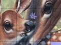 Game Deers and Lovely Day Slide Puzzle