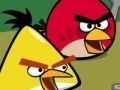 Jeu Memory - Angry Birds