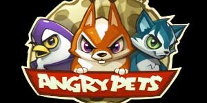 Angry Animaux 