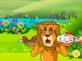 Jeu Lion hunger