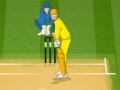 Jeu Cricket 2013