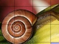 Jeu Snail and flower slide puzzle