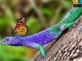 Jeu Lizard and butterflies puzzle