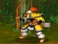 Jeu Dynasty Fighter