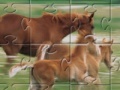 Jeu Horse Family Jigsaw Puzzle