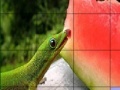 Jeu Hungry chameleons slide puzzle