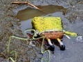 Jeu SpongeBob Found Dead Jigsaw Puzzle