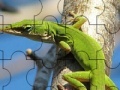 Jeu Chameleon On The Tree: Puzzle