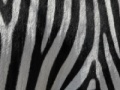 Jeu Jigsaw: Zebra Stripes