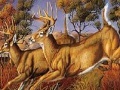 Jeu Runner deers slide puzzle
