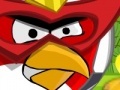 Jeu Angry Bird protect home