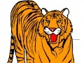 Jeu Tiger Coloring