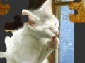 Jeu White Cat