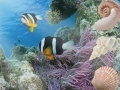 Jeu Aquatic Interactive 