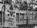 Jeu Auschwitz Birkenau