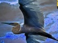Jeu Flying Blue Stork: Puzzle