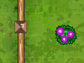 Jeu Garden Match