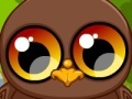 Jeu Cute owl