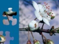Jeu White Flower Jigsaw