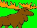 Jeu Deer coloring game