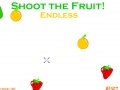 Jeu Xtreme Fruit Shoot 2!
