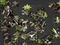 Jeu Snake Jigsaw