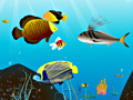 Jeu Water World