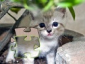 Jeu Jigsaw: Happy Kitty