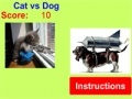 Jeu Cat vs Dog!