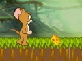 Jeu Tom and Jerry : Cheese Land