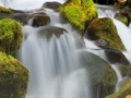 Jeu Forest Waterfalls