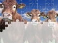Jeu Gorgeous Cows Jigsaw