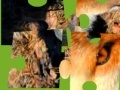Jeu Jigsaws:Wild Animals 2