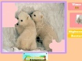 Jeu Twin Polar Bear