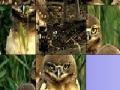Jeu Owls slide puzzle